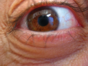 eye4.jpg