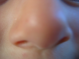 nose11.jpg